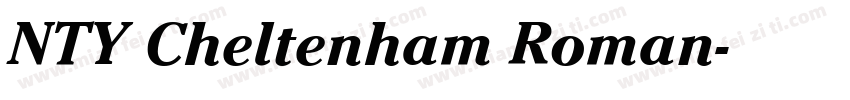 NTY Cheltenham Roman字体转换